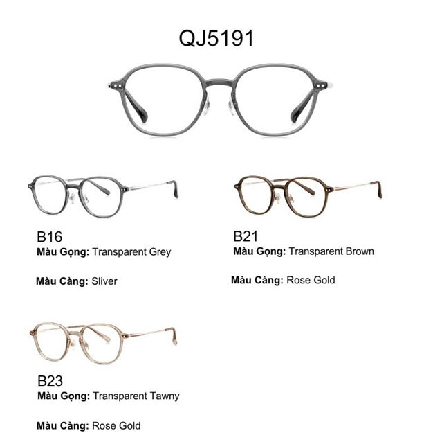 Gọng kính QINA QJ5191.B21.C